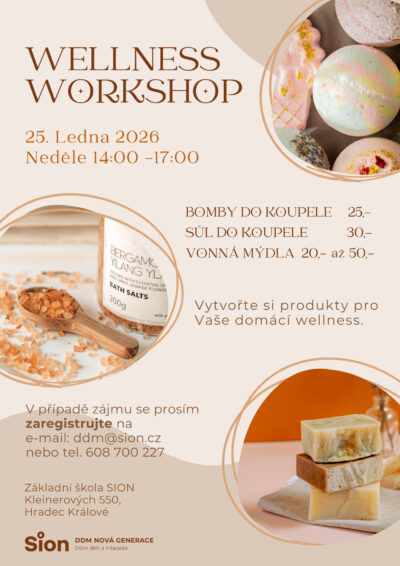 Wellness Workshop